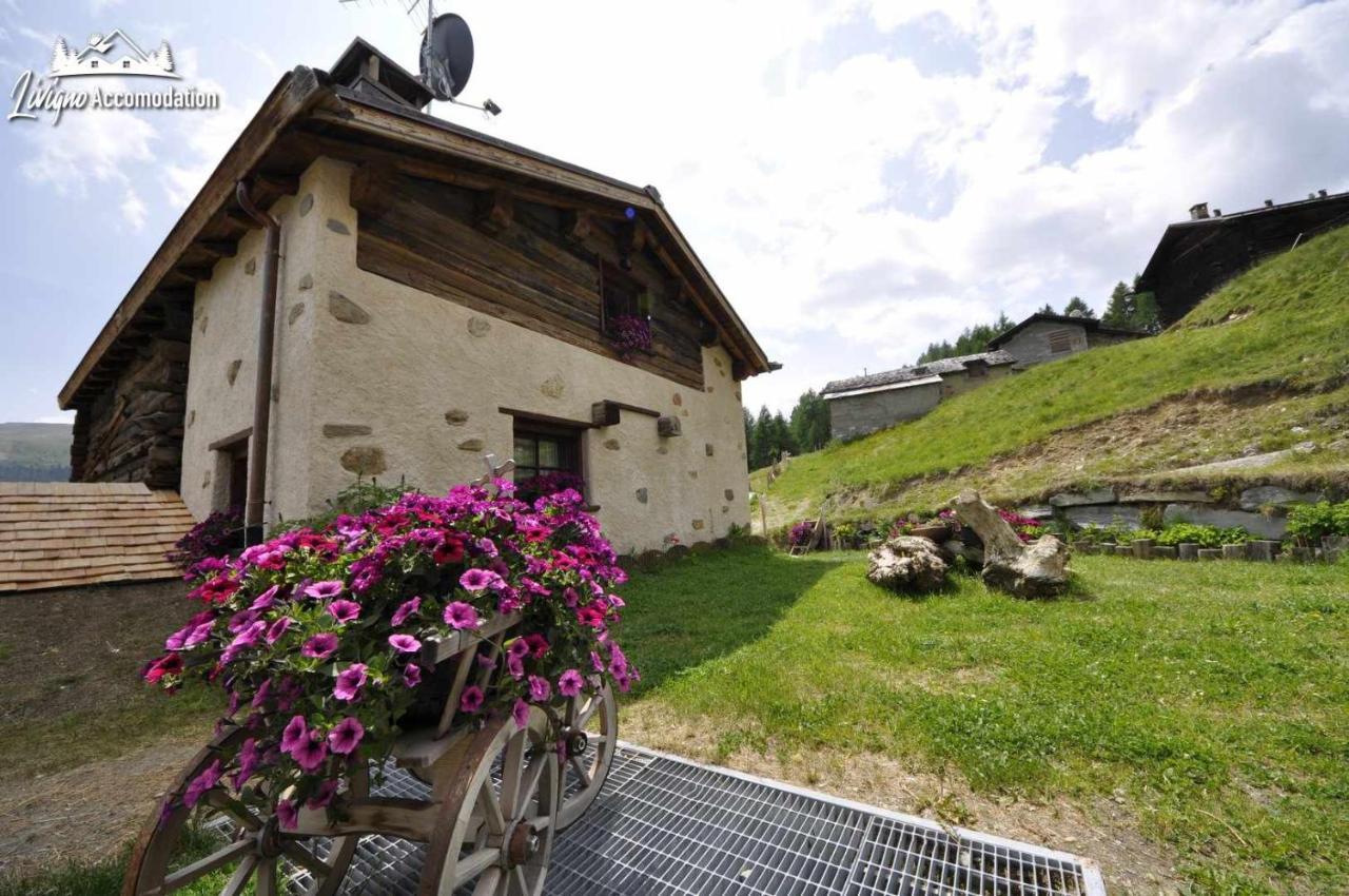 Mountain Chalet Scoiattolo By Livigno Accomodation Exterior photo